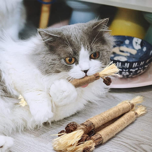 KittySticks™ - Zahnreinigungsspielzeug für Katzen