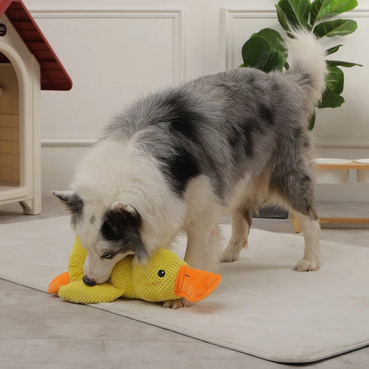 Entenfreund - Plüsch Hundespielzeug